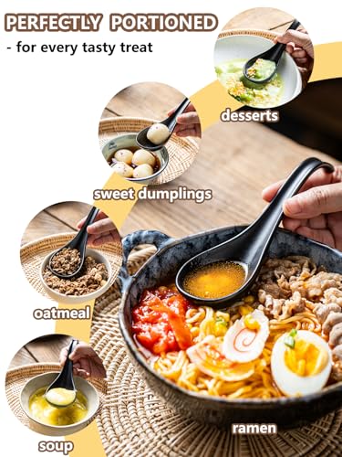 Gomakren Asian Soup Spoons, Ramen Spoons Set of 6 with Long Handle, Black - color: Black