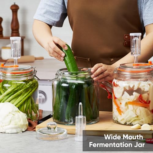 0.6 Gallon Glass Fermentation Jar with Airlock, Small Batch Kit - size: 0.6 Gallon