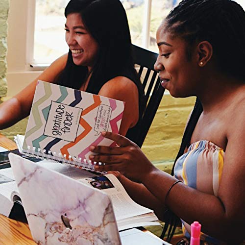 Denise Albright Gratitude Finder® 52 Week Non-Dated Journal for Women, Teens & Girls with 165 Hand-Illustrated Stickers (Summer Chevi) - color: Summer Chevi Gratitude Finder Journal