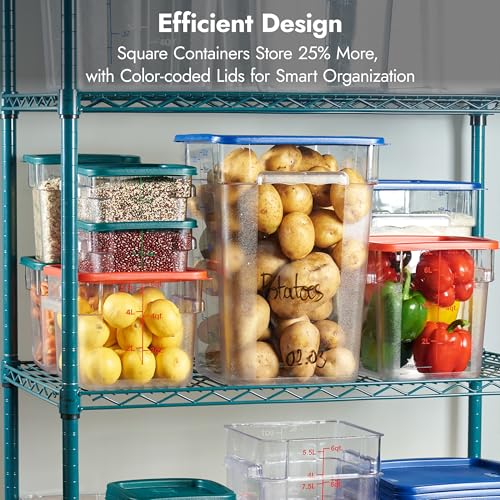 CURTA 4 Pack Food Storage Containers with Blue Lids - NSF Listed Commercial Grade in 22.0 Qt - Square, Clear, Polycarbonate - color: 22.0 Qt 4-Pack(Blue Lids)