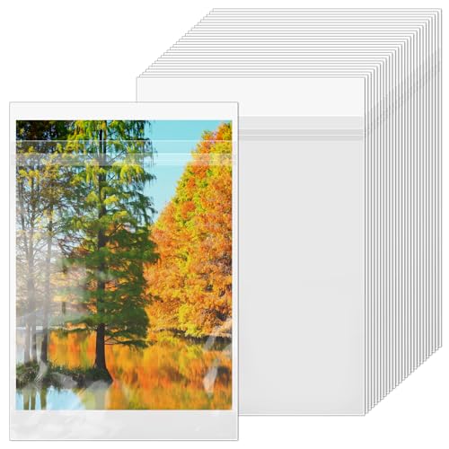 VOKOY 200 Pack 9 3/8 x 12 2/5 inches Crystal Clear Sleeves Storage Bags, Self Sealing Cellophane Bags Magazine Sleeves Protectors for 9x12 Photo Mats Art Prints Drawings - size: 9 x 12 Inch, style: 200 Pack