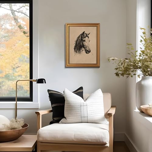Gold Framed Wall Art Vintage Horse Head Sketch Canvas Prints Decor - color: Horse head, size: 8"x10"
