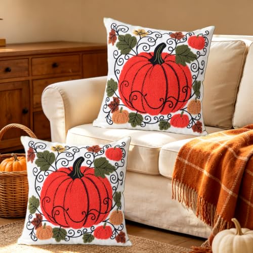 Set of 2 Embroidered Decorative Throw Pillow Covers Couch Square Pillowcases Cushion for Bedroom Sofa Farmhouse Decor 18x18 Inch (Cute Pumpkin) - color: Cute Pumpkin