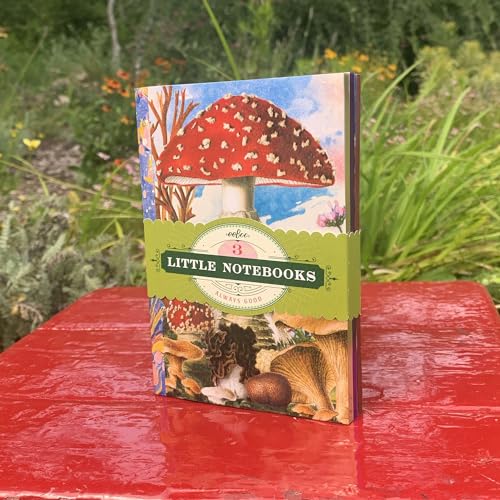 eeBoo: Mushroom Little Books – Set of 3 Small Notebooks, 5.75 x 4, 64-Page Journals with Lines & Dot Grid Pages, Portable Journals - style: Mushroom