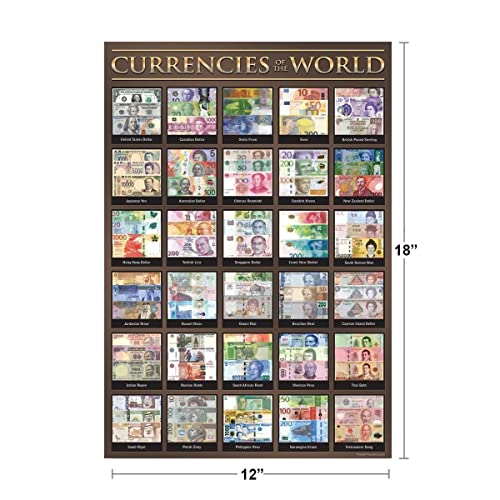 World Currency Poster Economics Posters for Classroom Decor For High School Middle School Cool Wall Art Print Poster 12x18 - size: 18"L x 12"W