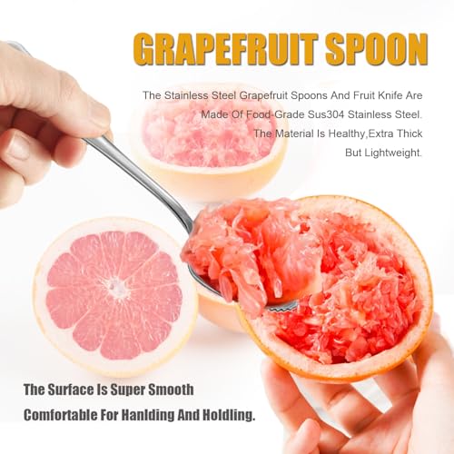 Grapefruit Spoon Serrated Edge Grapefruit Knife Stainless Steel Grapefruit Utensil Tool Dessert Spoons for Citrus Lemon Kiwi Salads Melon Lime Pitaya Apple Fruit Puree (3 PCS)