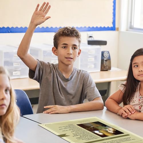Quarterhouse 8 Poster Elements of a Novel Classroom Set - color: Elements of a Novel
