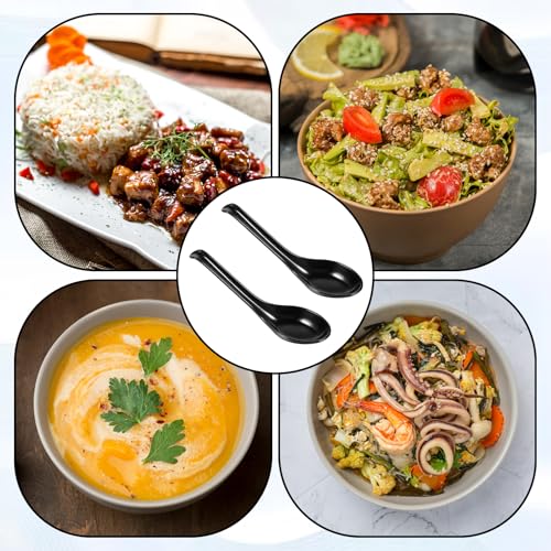 Asian Soup Spoons 2pcs Meal Spoon Black Long Handle Spoon with Hook