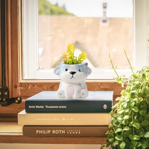 DIYOMR Cute Animals Planter, Mini Ceramic Cartoon Animal Shaped Succulent Flower Pot Indoor Air Plants Holder, Smooth Shiny Decorative Flower Cactus Planter - Plants Not Included (Cow) - color: Cow