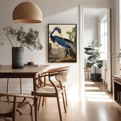 Poster Master Vintage James Audubon Poster - Louisiana Heron Print - Birds of America Art - Bird Art - Gift for Men, Women & Animal Lover - Decor for Bedroom or Living Room - 8x10 UNFRAMED Wall Art - color: Style-11, size: 8"L x 10"W