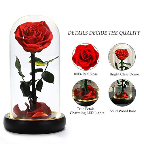 Mothers Day Roes Gifts,Gifts for Mom Flowers for Delivery Prime,Beauty and the Beast Rose in Glass Dome,Birthday Gifts for Women Her Mom Wife Girlfriend Grandma on Mother‘s Day Anniversary - color: Red Rose