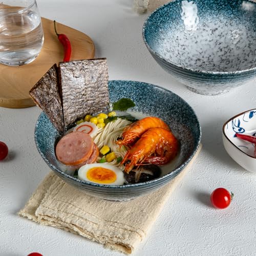 40 oz Ceramic Ramen Bowl Set of 2, Ramen Noodle Bowl with Spoons and Chopsticks 8 Inch Japanese Retro Style Large Soup, Pho, Udon Bowls, Microwave & Dishwasher Safe, Stone - color: Stone