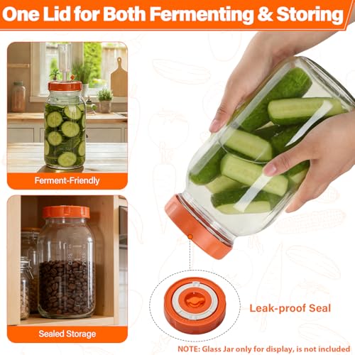 2 Pack Fermentation Kit with Lids Weights Airlocks, Fits 3.3" - size: 3.3 IN*2 Pack (No Jar)
