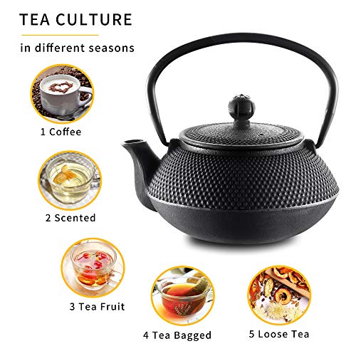 Velaze Cast Iron Teapot Set with Infuser,Japanese Style,2 Cups,700ML,23oz