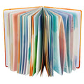 SIIXU Spiral Journals for Writing, Color Illustration Notebook With an Elastic Band, Hardcover, 128 Pages, B5, 6.8”x9.8”, Spring - color: Spring