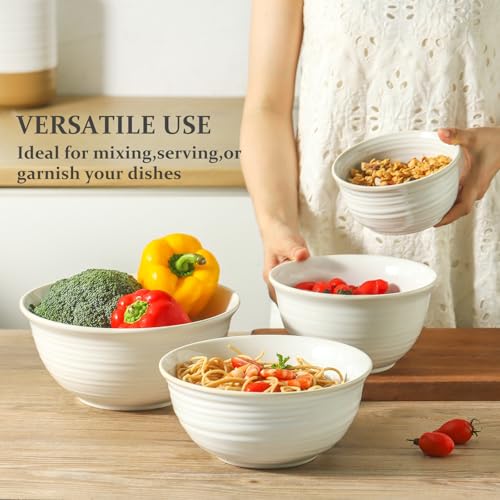 Hasense Ceramic Mixing Bowls, 2.1/1.5/1.0/0.5 Qt, Nesting Bowls for Cooking, Baking, Serving Dishes for Salad, Fruits, Popcorn, Dishwasher & Microwave Safe, Set of 4, Clay-Infused White - color: Clay-Infused White, size: 20+40+65+84 Ounce