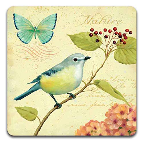 Bird and Butterfly Square Coaster Set - Made of Recycled Rubber - Set of 4 - color: Bird and Butterfly