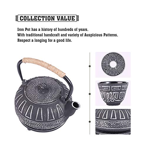 Japanese Style Cast Iron Teapot Set Tetsubin Kettle with Infuser - color: Eight