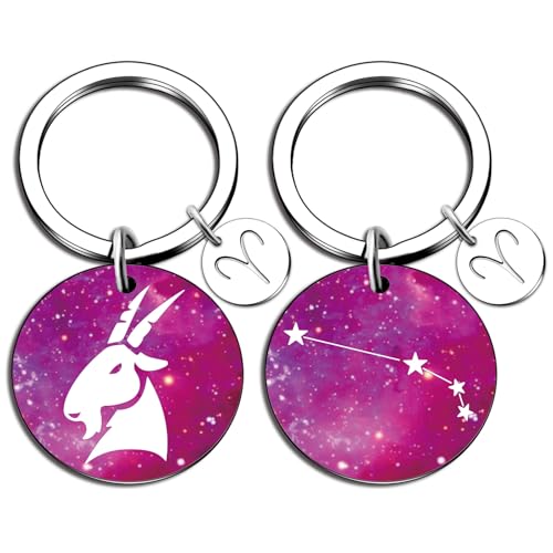 isiyu 12 Constellation Keychain Zodiac Astrology/Birthday For Women Men Adults Boys Girls Horoscope Lovers Gifts For Women - color: Color 2