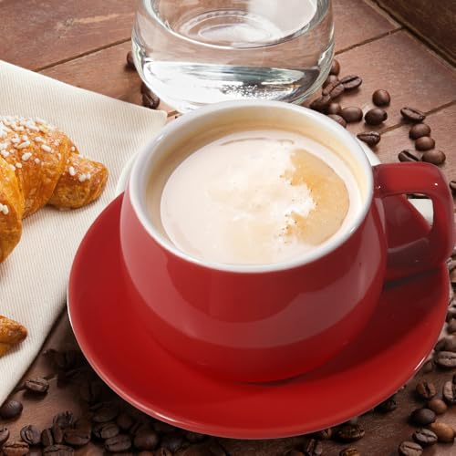 ionEgg Porcelain Coffee Cup with Saucer 270ml/9oz, Minimalist Design, Perfect for Latte, Cappuccino, and Tea, Red - color: Red