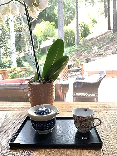 JapanBargain, Serving Trays Japanese Plastic Lacqured Tea Trays Sake Tray Sushi Plates Snack Plates, Made in Japan, Set of 2 - color: Black+kitty X2