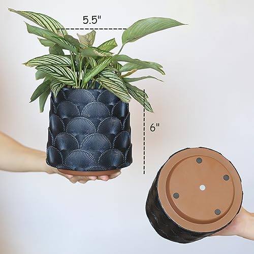 GUGUGO Pearl Beige Scale Planter, Cute Unique Plant Pot with Drainage, Eclectic Colorful Small Flower Planters Pots for Indoor & Outdoor Plants, Rainbow Funny Succulent Gardening Pot Gifts - color: C, size: 5in