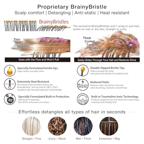 NuWay® TravelC® Scalp Care Hair Brush with Patented Travel Case – Vented Hair Brush for Scalp Massage, Blow-Dry Styling, Wet & Dry Hair, All Hair Types (Rose Pink) - color: Rose Pink
