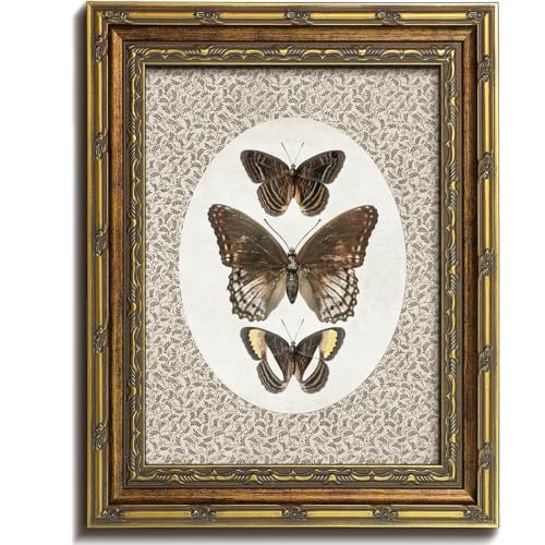 Vodefoad Vintage Butterfly Gold Framed Wall Art, Retro Neutral Butterfly Canvas Art Prints Painting, Bedroom Bathroom Shelf Retro Butterfies Illustration Room Decor, Antique Moth Insect Wall Art Picture, Farmhouse Framed Wall Decor butterfies Drawing for