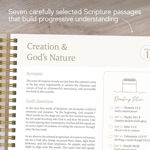 Official Spiral Bible in a Year, 52 Week Bible Study Guide (Mountains) - color: Mountains