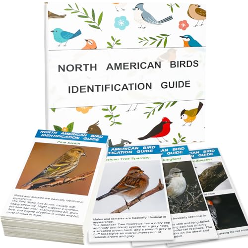 North American Bird Identification Cards, 30 Backyard Birds for Bird Lovers