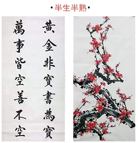 MEGREZ Chinese Japanese Calligraphy Xuan Paper Rice Paper - size: 13.4 x 26.7 inches