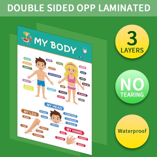 12 Laminated Educational Posters For Toddlers, Preschool Posters for Classroom, Kindergarten Wall Decor for Alphabet Poster Numbers Colors Shapes Days of the Week Poster