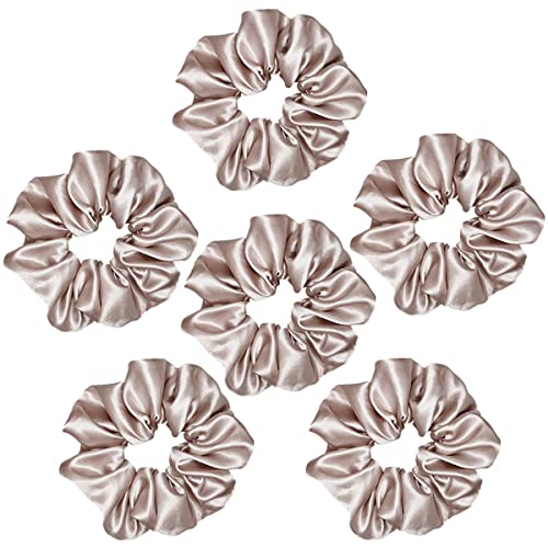 6 Pcs Satin Silk Hair Scrunchies Soft Hair Ties Fashion Hair Bands Hair Bow Ropes Hair Elastic Ponytail Holders Hair Accessories for Women and Girls (4.5 Inch, Champagne) - color: Champagne