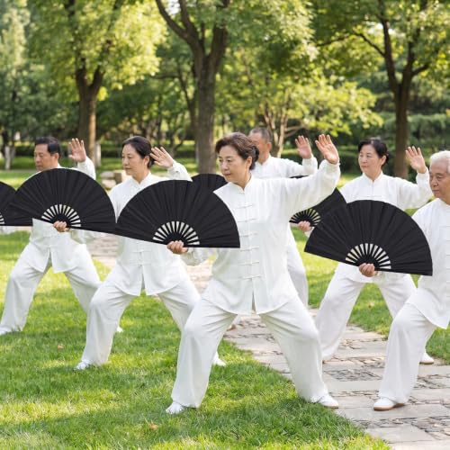 2 Pack Large Folding Hand Fan, Nylon-Cloth Vintage Retro Fabric Fans, Chinese Kung Fu Tai Chi Hand Fan for Men/Women, Festival, Dance, Gift, Performance, Decorations (Black) - color: 2 Black