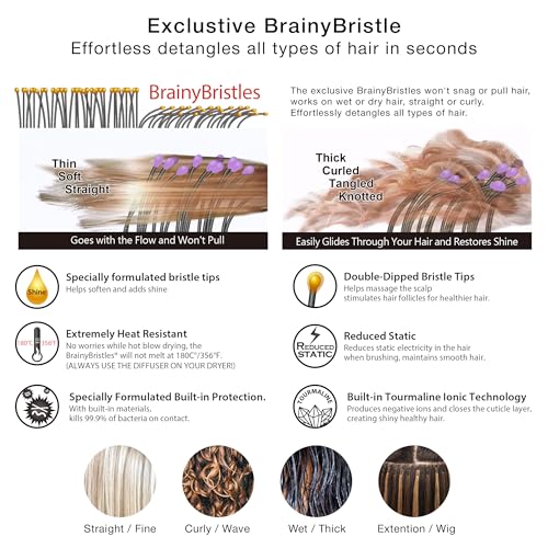 NuWay® TravelC® Scalp Care Hair Brush with Patented Travel Case – Vented Hair Brush for Scalp Massage, Blow-Dry Styling, Wet & Dry Hair, All Hair Types (Classis Purple) - color: Classic Purple