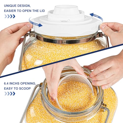 5 Gallon Square Fermentation Jar with Wide Mouth, Stainless Handles, 1 Pack