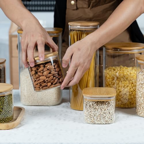 D2scrma 22oz/0.7Qt/650ml Square Glass Storage Containers with Lids 6-Pack - size: 22oz*6