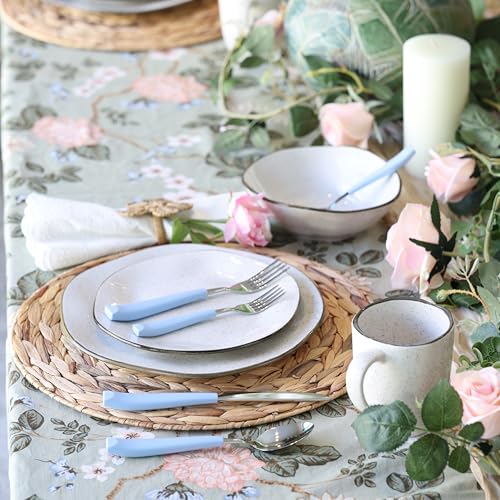 ANNOVA Silverware Set Stainless Steel Colorful Handle Tableware Kitchen Flatware Set Utensils, Includes Dinner Knives, Forks, Spoons, Salad Forks & Dessert Spoons (Light Blue25, 20 Pieces) - color: Light Blue25 20Pieces