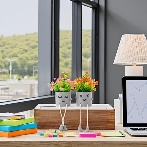 2 Packs Cute Fake Plants, Kawaii Artificial Potted Plants for Table Desk Home Bedroom Bathroom Office Shelf Office Wall Room Farmhouse Decor Artificial Plants B3 - color: Yin-pan-b3