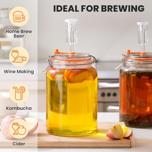 1 Gal Fermentation Kit, Jars, Weights & Airlocks, 2 Pack - size: 1 Gallon