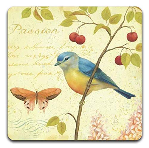 Bird and Butterfly Square Coaster Set - Made of Recycled Rubber - Set of 4 - color: Bird and Butterfly