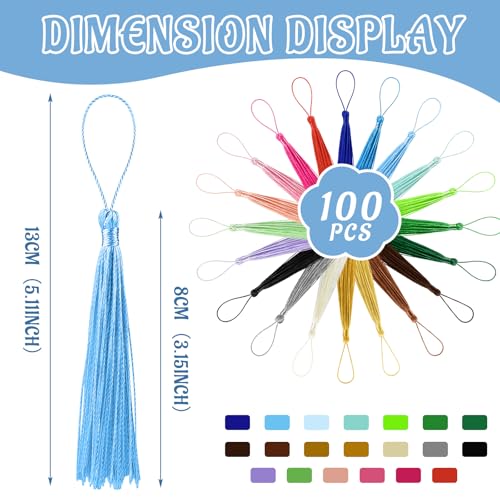 100 Pcs Bookmark Tassels Bulk 20 Colors Soft Craft Silky Handmade Mini Tassels for Jewelry Making with Loops for DIY Craft Accessory Dress Decoration - color: Multi Color
