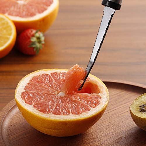 Grapefruit Spoons and Grapefruit Knife, Serrated Spoons Utensils Tool Set