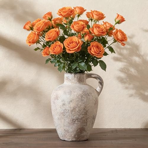 Enra Rustic Terracotta Vase with Handle, Textured Ceramic Home Decor - color: Farmhouse-8.85in-3