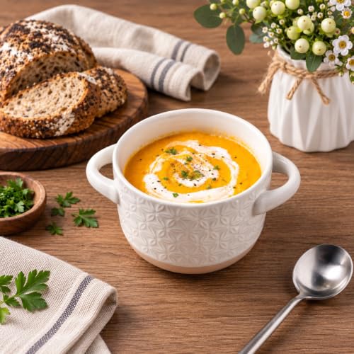 AmorArc 24 oz Soup Bowls with Lids, Ceramic Soup Containers with Handle - color: Light Beige(Geometric), size: Set of 2