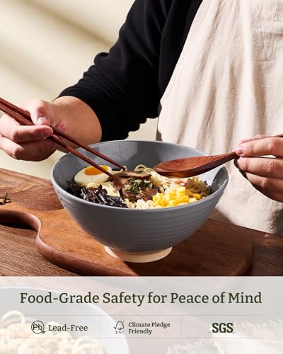 famiware Milkyway 54 oz Large Ramen Bowls Set of 2, Dark Gray - color: Dark Gray