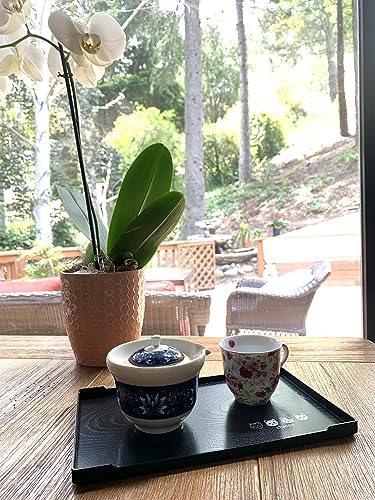 JapanBargain, Serving Trays Japanese Plastic Lacqured Tea Trays Sake Tray Sushi Plates Snack Plates, Made in Japan, Set of 2 - color: Black+kitty X2