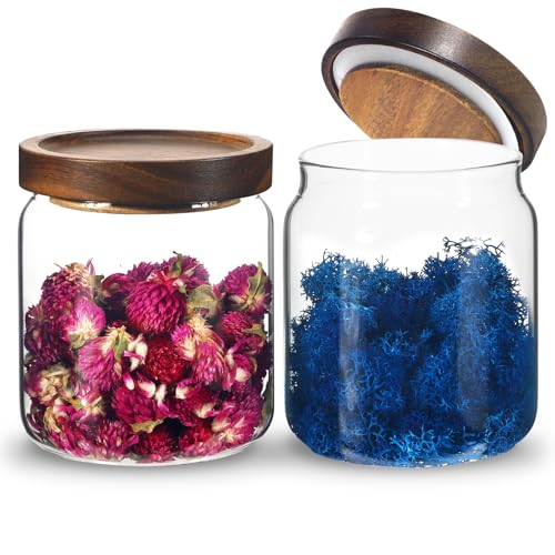 Glass Spice Jars Seasoning Containers Small Glass Jars with Lids Airtight Food Storage Canister for Kitchen Pantry Sugar Tea Coffee Bean Nuts Cookies Herbs Salt (16oz/473ml*2 Pcs) - color: 16oz/473ml*2 Pcs