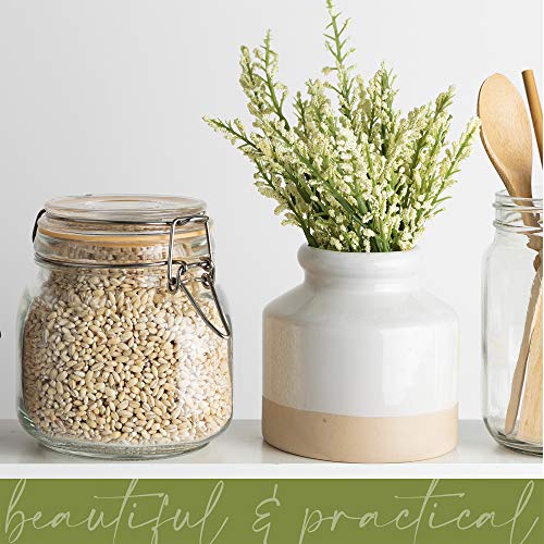 Glass Jar with Airtight Lid 24 oz - size: 24 oz