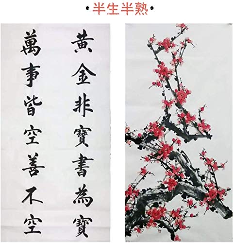 MEGREZ Chinese Japanese Calligraphy Xuan Paper Rice Paper - size: 13.4 x 13.4 inches